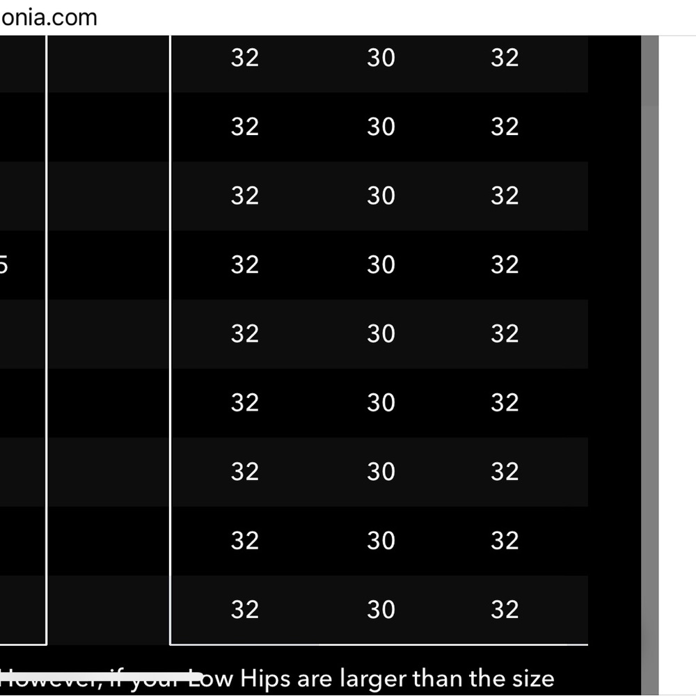 Womens Patagonia Pants - Picture 6 of 6